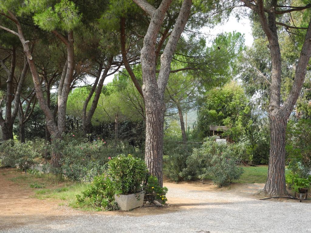 Podere Oslavia Az.Agr.Bio Giannini Alberese Exteriör bild