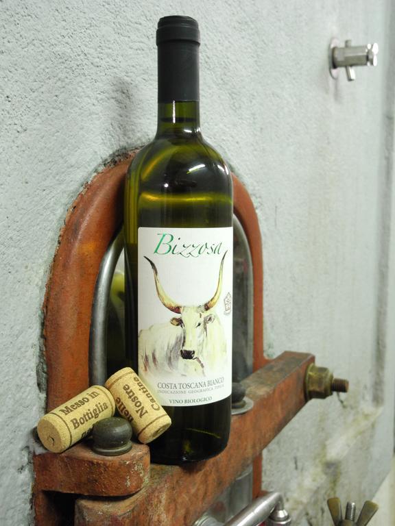 Podere Oslavia Az.Agr.Bio Giannini Alberese Exteriör bild