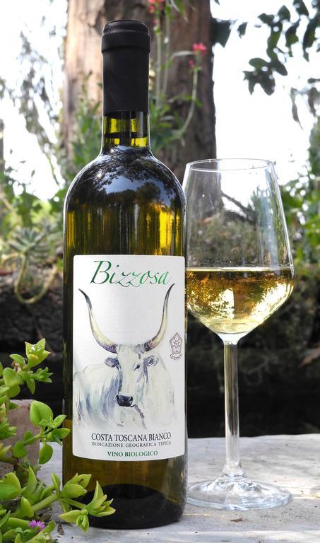 Podere Oslavia Az.Agr.Bio Giannini Alberese Exteriör bild