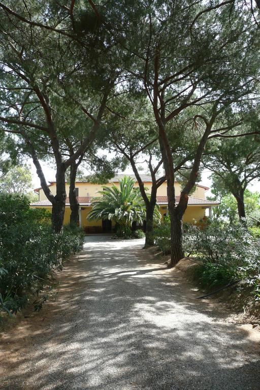 Podere Oslavia Az.Agr.Bio Giannini Alberese Exteriör bild