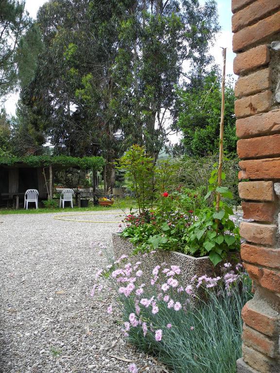 Podere Oslavia Az.Agr.Bio Giannini Alberese Exteriör bild