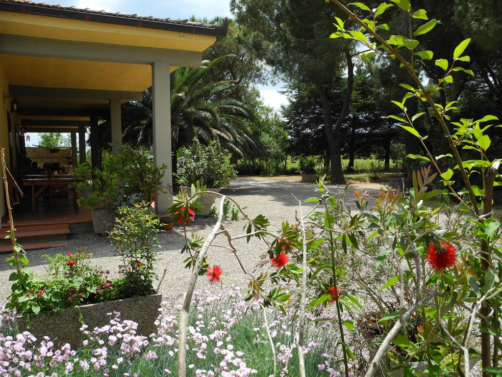 Podere Oslavia Az.Agr.Bio Giannini Alberese Exteriör bild