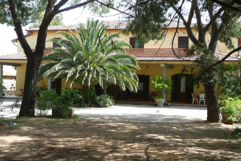 Podere Oslavia Az.Agr.Bio Giannini Alberese Exteriör bild